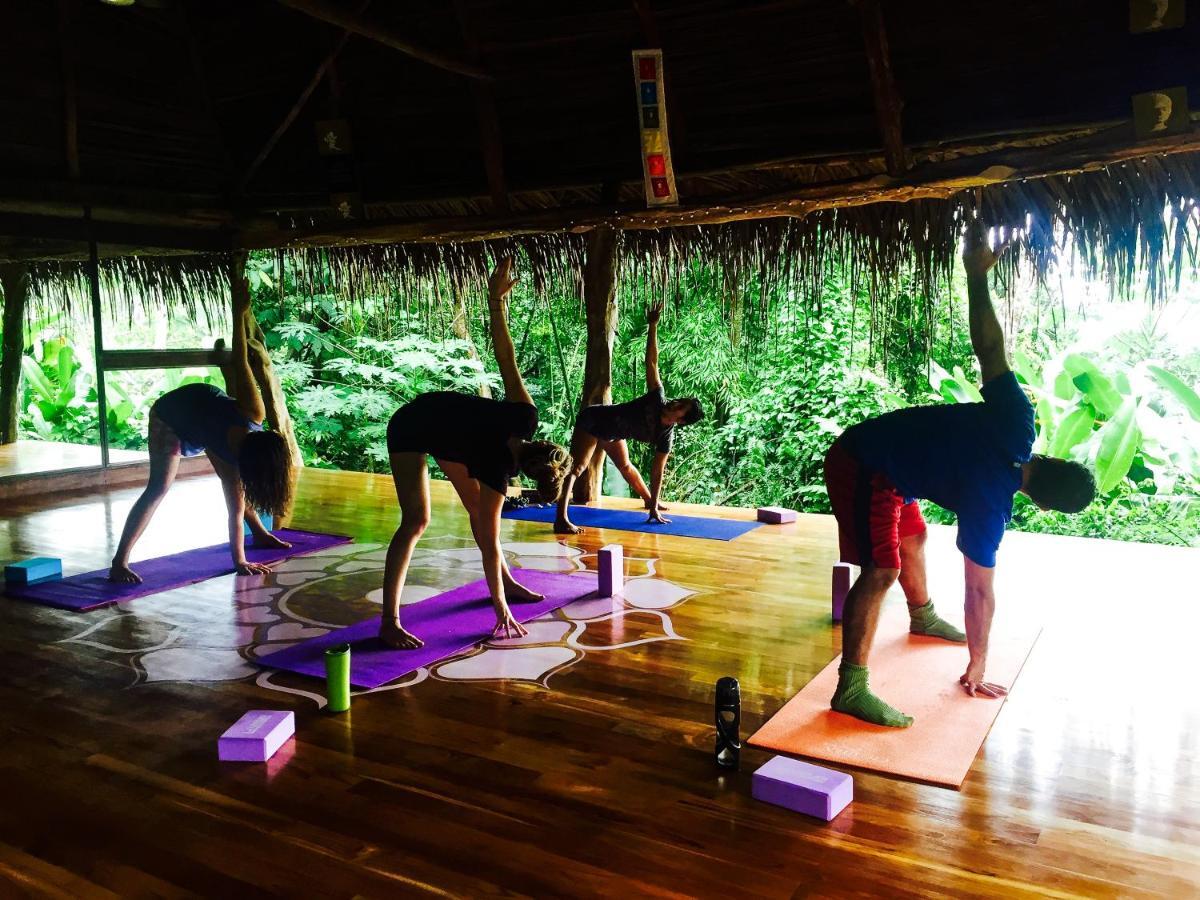 Jungle Lodge At Wild Sun Rescue Center Cabuya (Puntarenas) Exterior foto