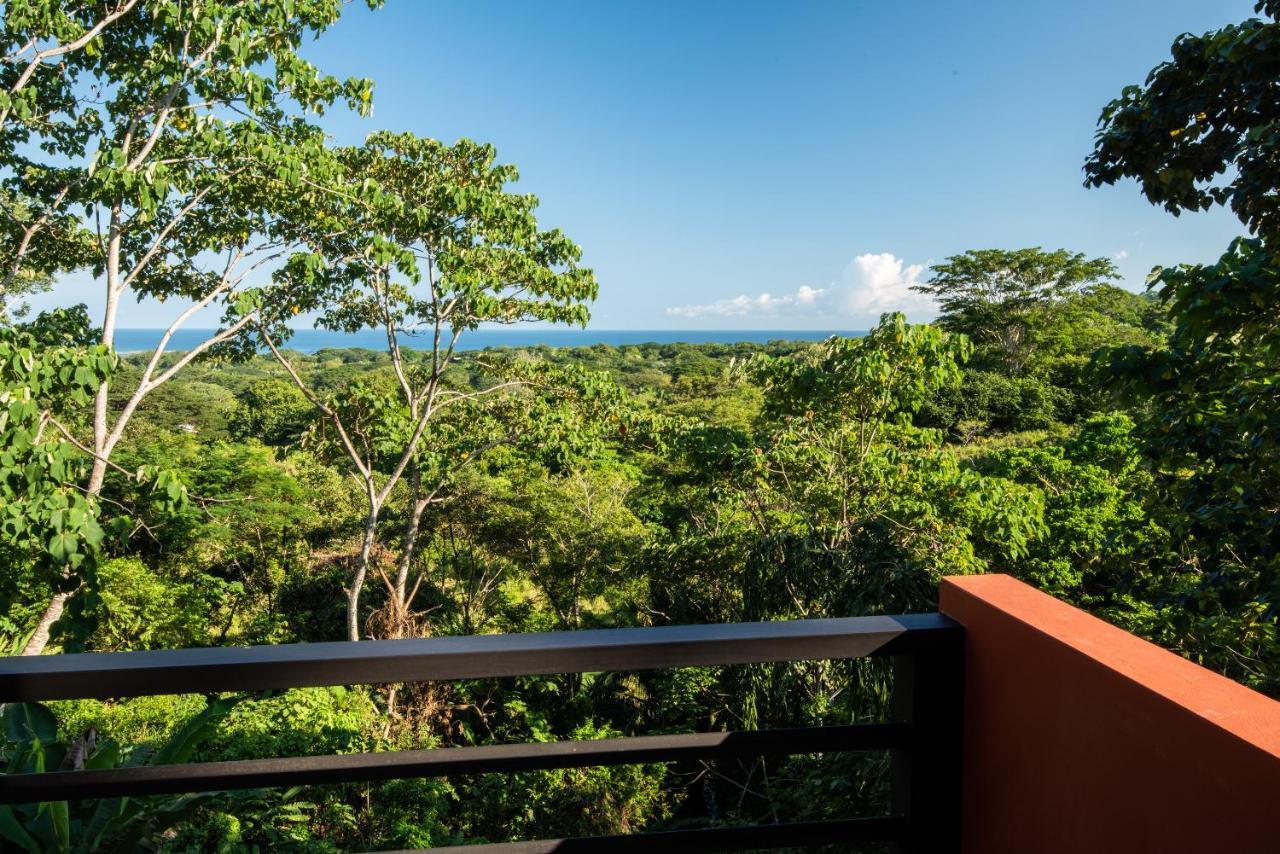 Jungle Lodge At Wild Sun Rescue Center Cabuya (Puntarenas) Exterior foto