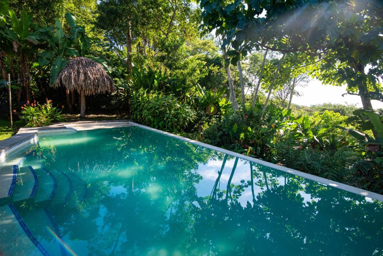 Jungle Lodge At Wild Sun Rescue Center Cabuya (Puntarenas) Exterior foto